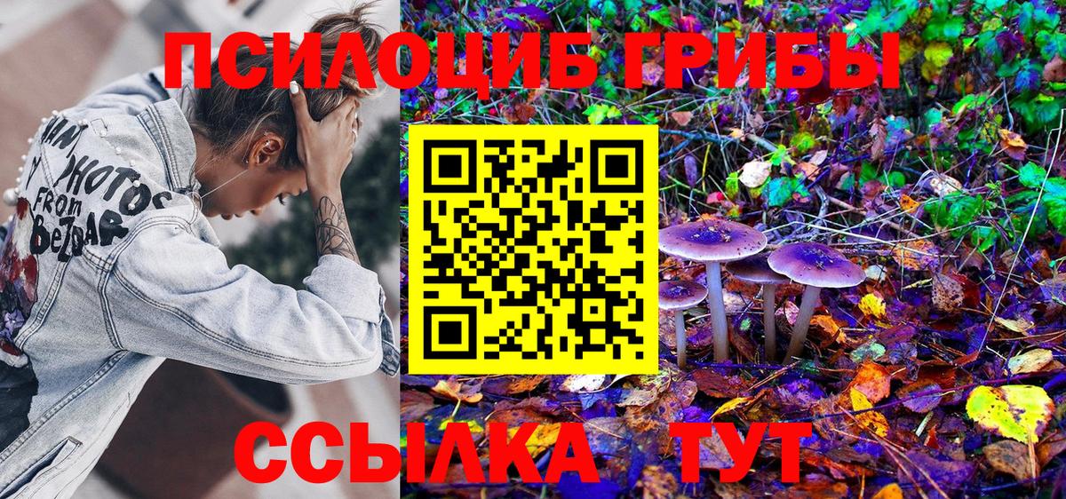 Галлюциногенные грибы Magic Shrooms Чебоксары
